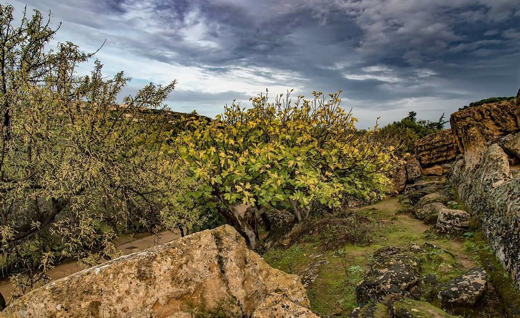 Holiday Park Home Сан-Леоне Экстерьер фото